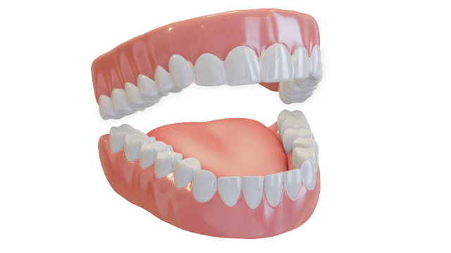 digital rendering of the mouth