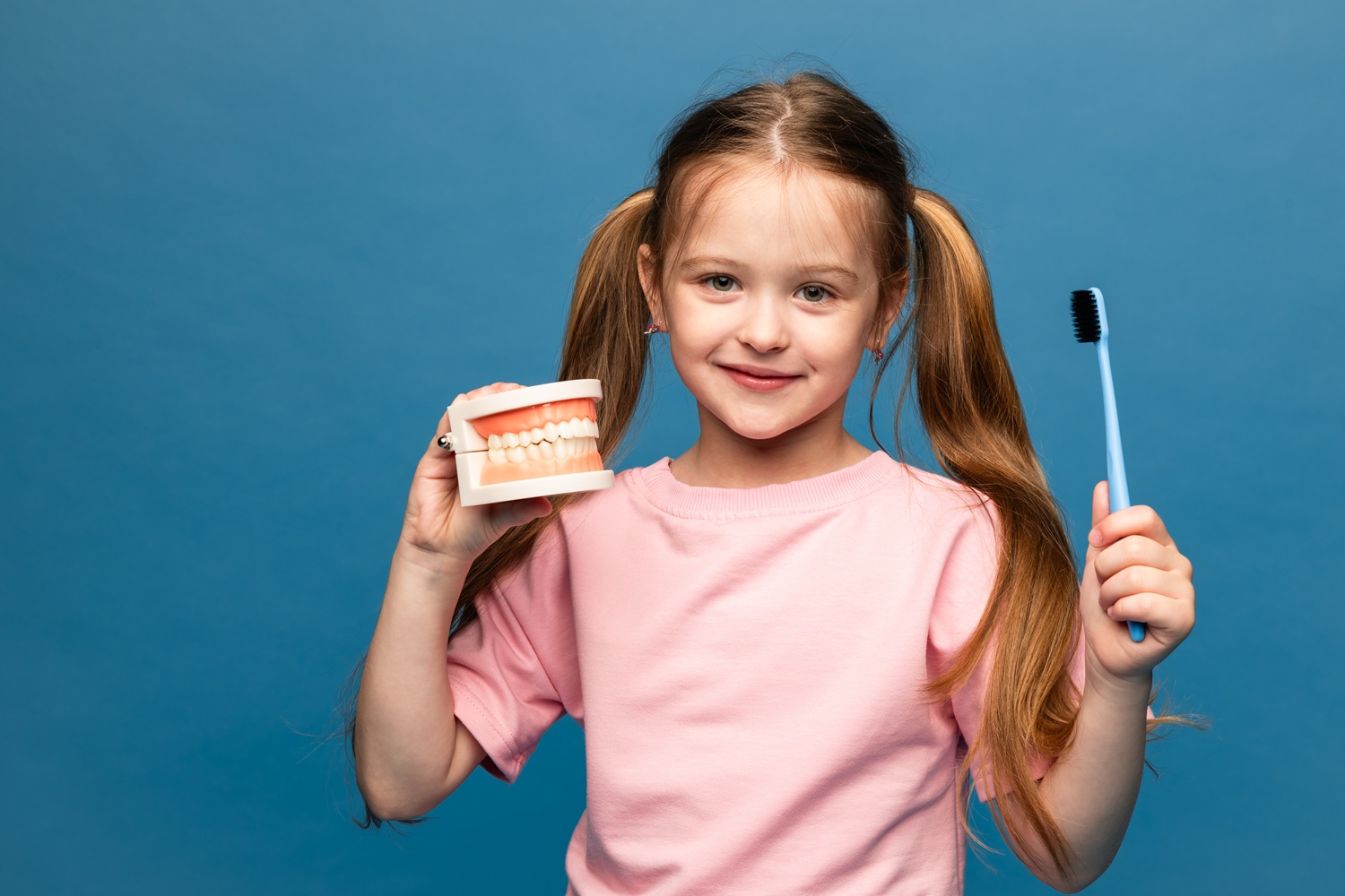 Girl holding toothbrush and model of teeth