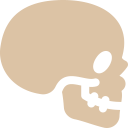 skull icon