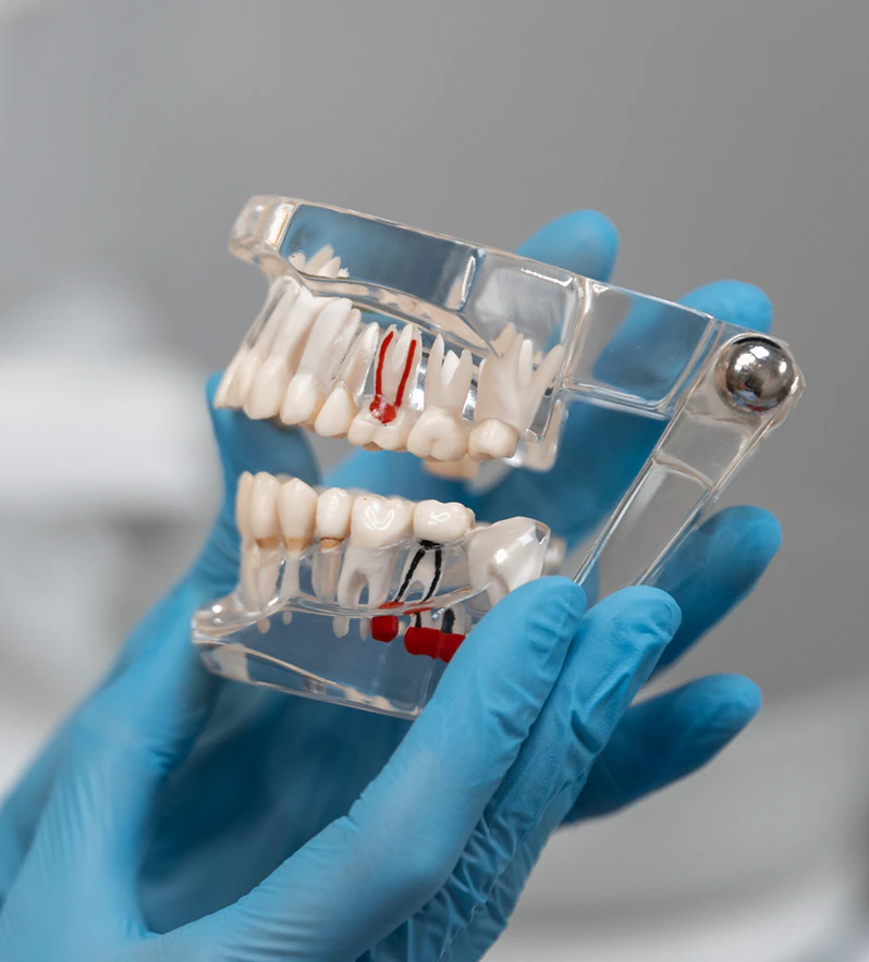 close up dentist instruments